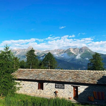 Hotel Rifugio Escursionistico La Sousto Dal Col Elva Exterior foto